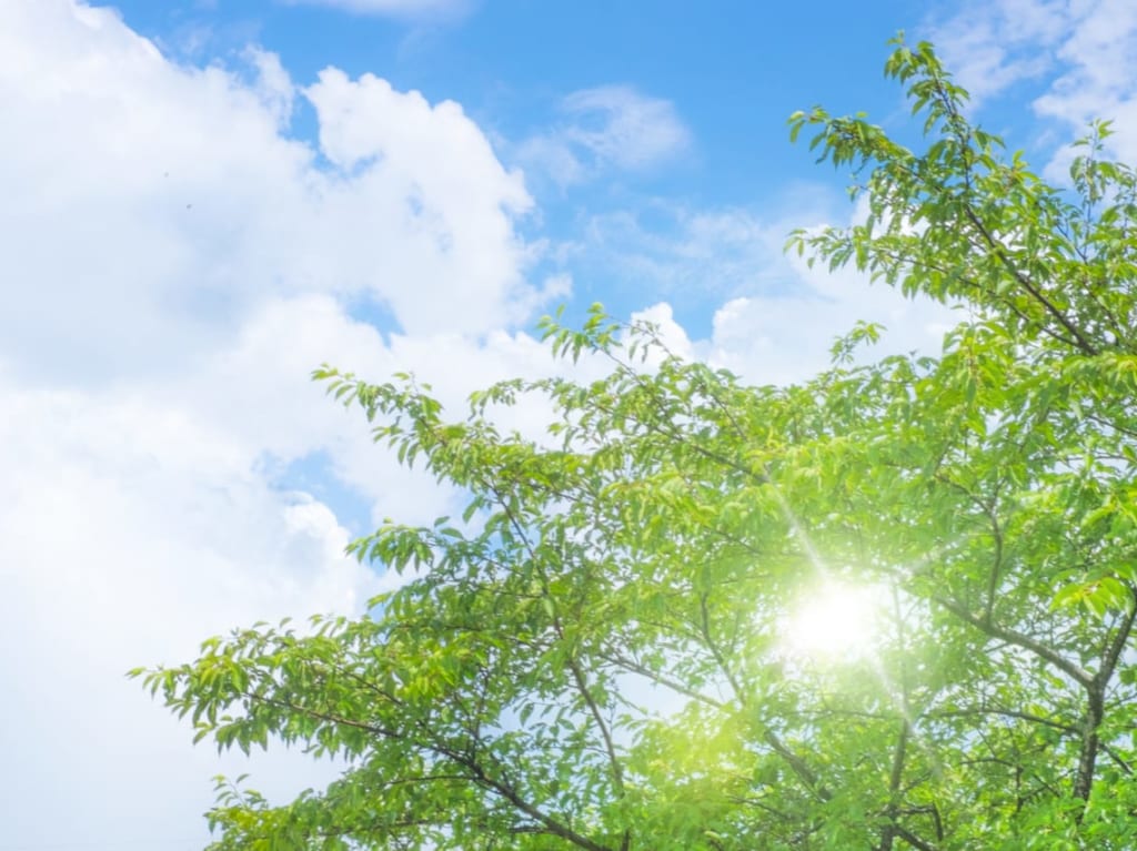 夏の空