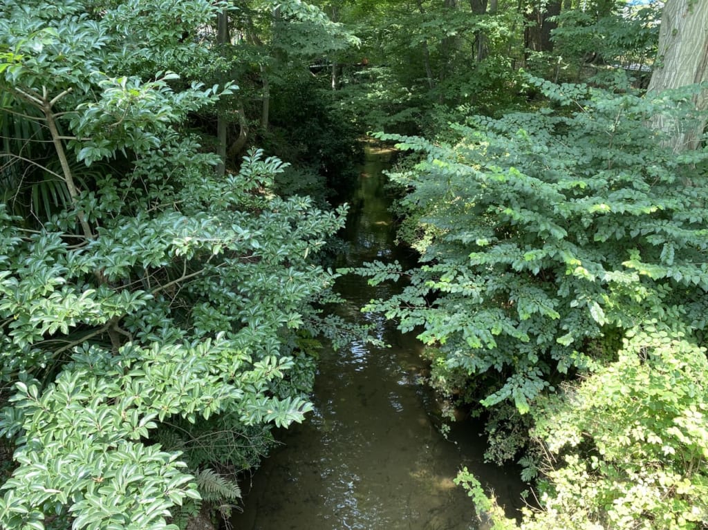 玉川上水