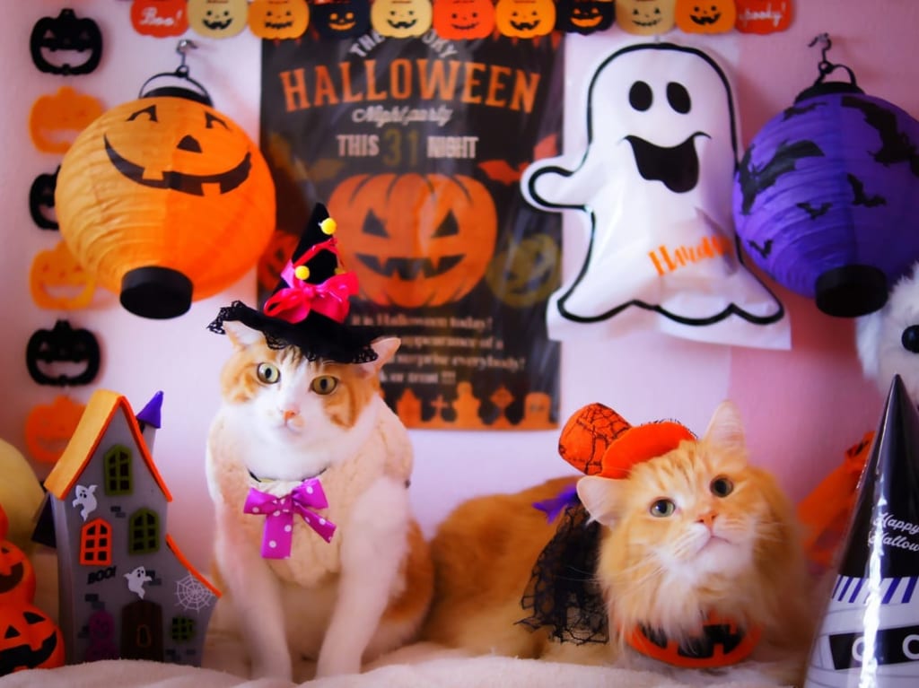 ハロウィンイメージ