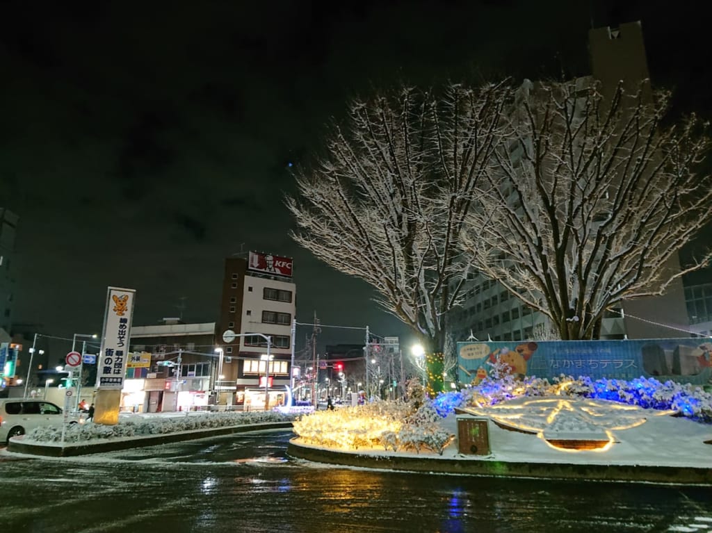 2022年1月の小平駅の大雪