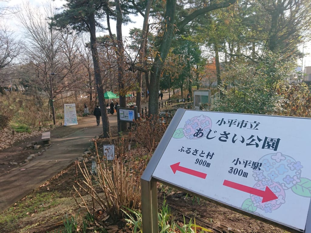 小平市のあじさい園