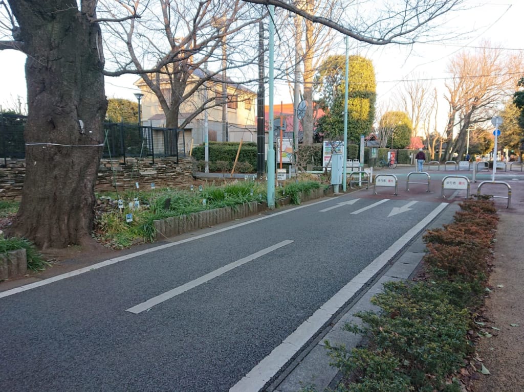 小平グリーンロード歩こう会