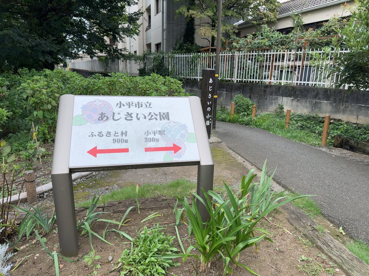 あじさい公園