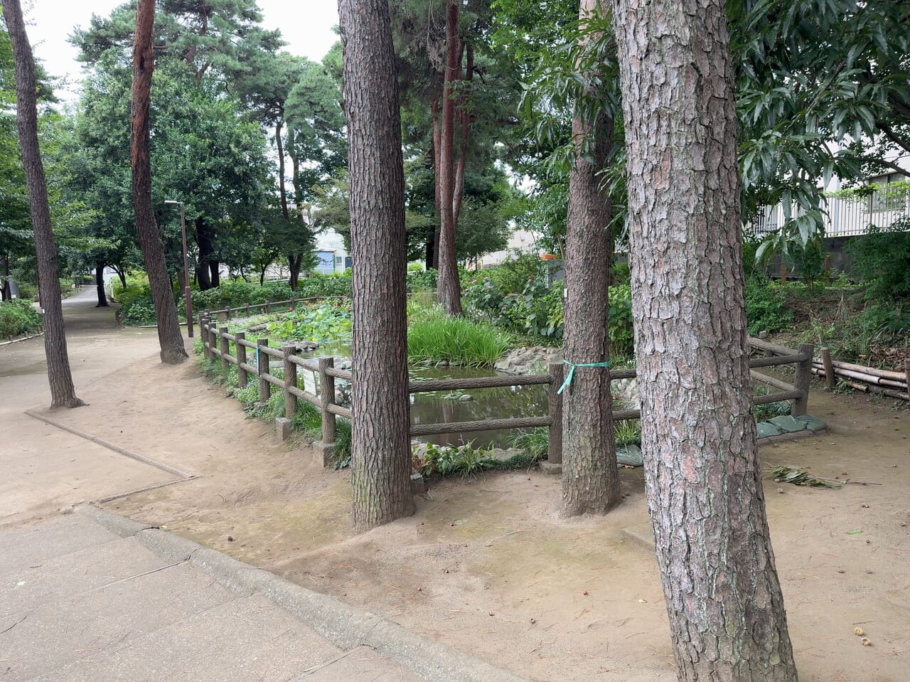 あじさい公園