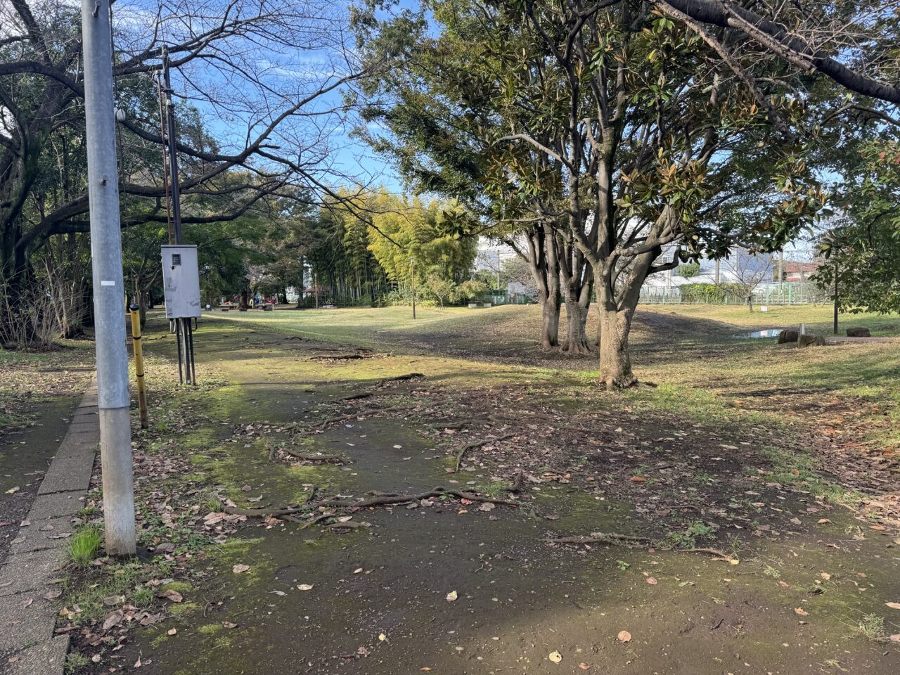 たけのこ公園